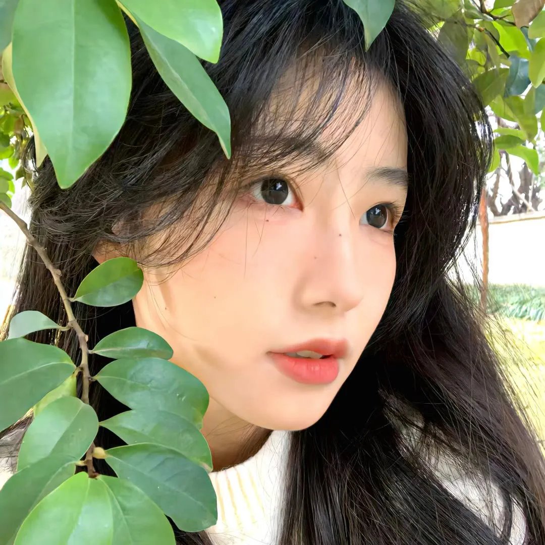 弱比少男闯女校